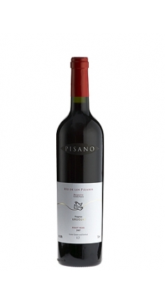 Pisano Rio De Los Pajaros Pinot Noir 2008 Image 1
