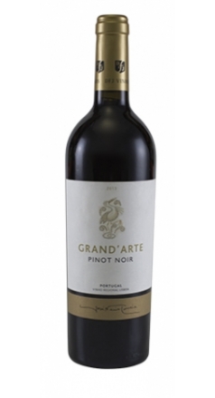 Grand Arte Pinot Noir 2017 Image 1