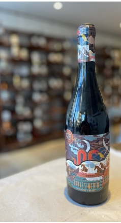 Domini Veneti Appassimento Passito 2024 Image 1