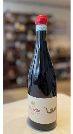 Musella Organic Valpolicella Superiore 2022 Image 1