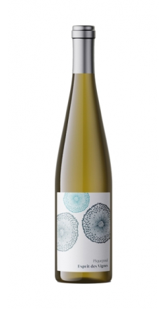 Esprit de Vignes Piquepoul 2024 Image 1