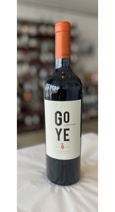 Goye Malbec Roble 2024 Image 1