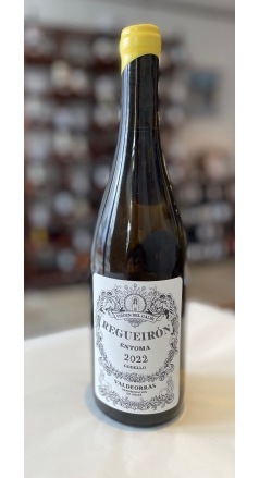 Regueirón Godello 2022 Image 1